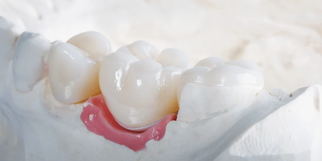 Teeth