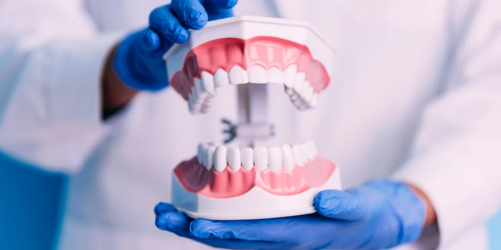 Smilodon Dental + Implants - Oral Health